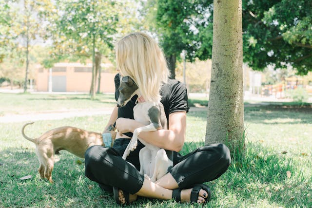 Owner confidently handling their dog outdoors