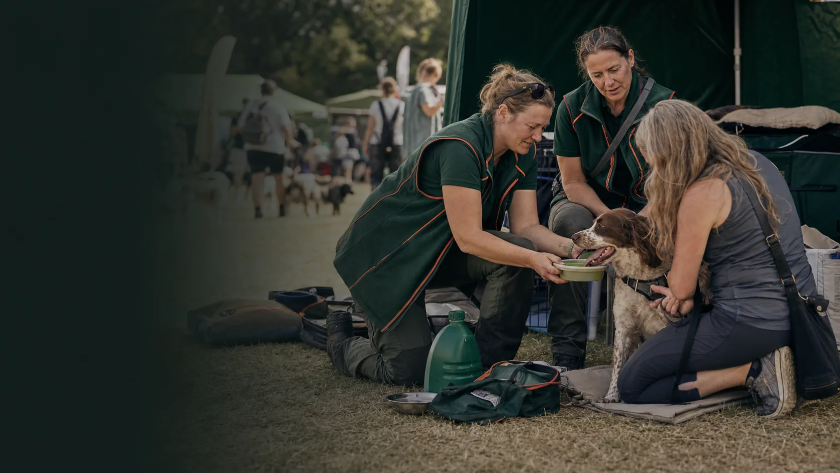 Canine UK welfare team supporting dogs and owners at an outdoor event