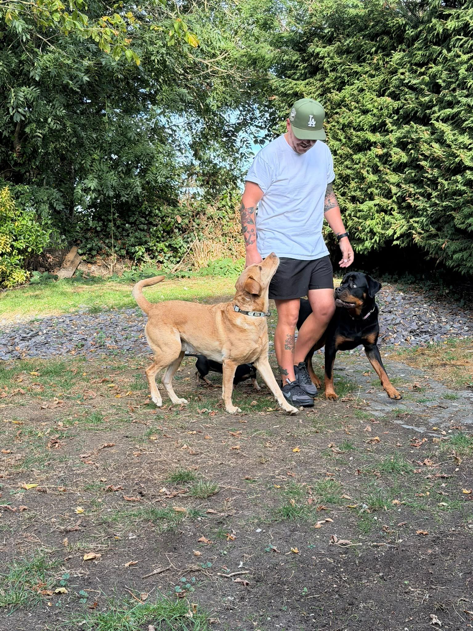 A man standing outdoors with dogs beside him