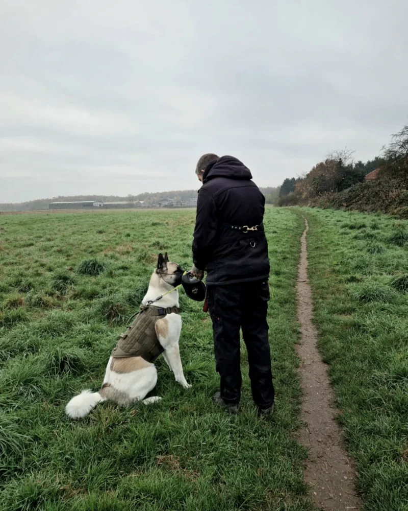 A Canine UK trainer working calmly with a dog on a lead in an open field