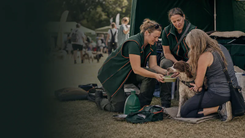 The Canine UK welfare team supporting dogs at an outdoor event