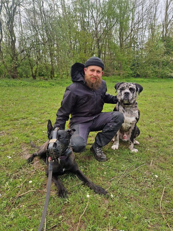 An adult handler outdoors with two dogs, one wearing a muzzle and lead