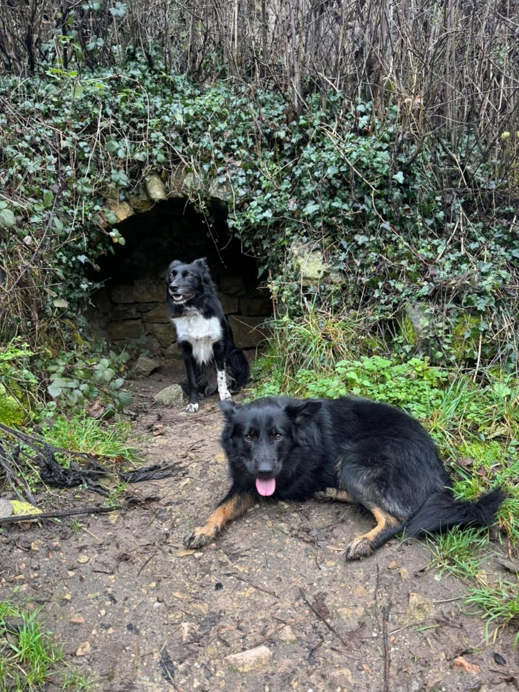 Isla