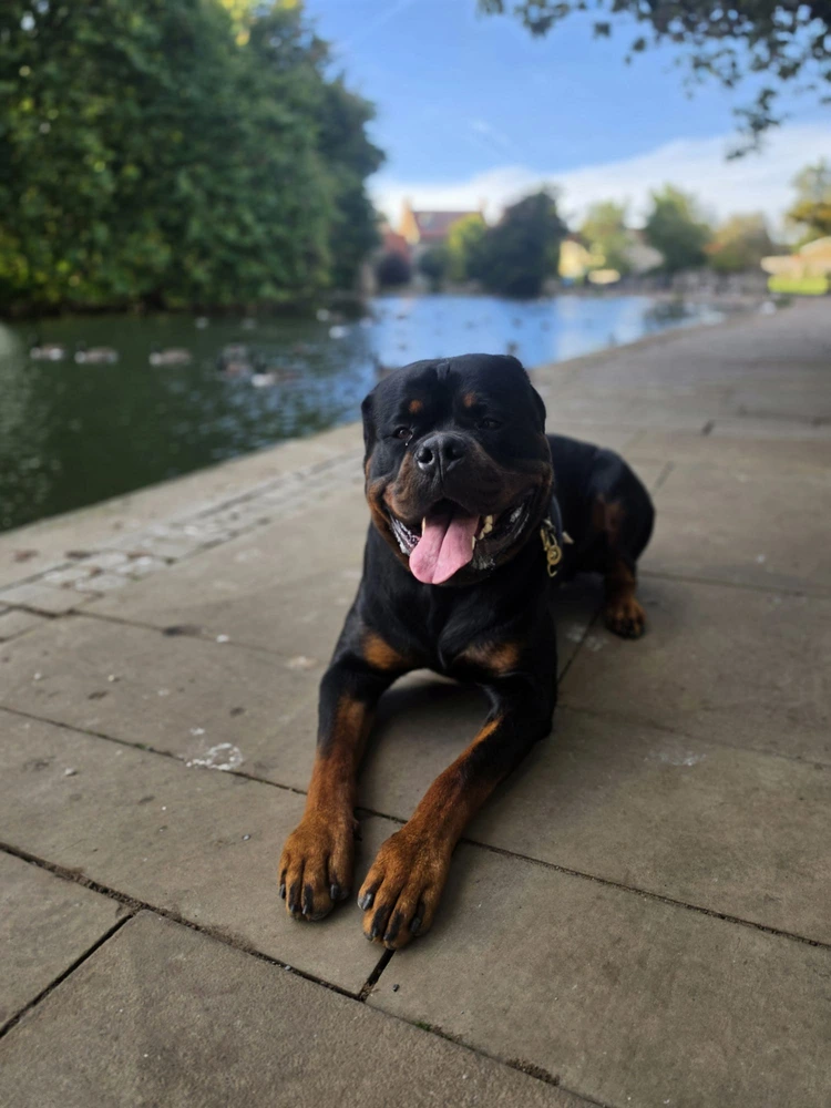 Jax