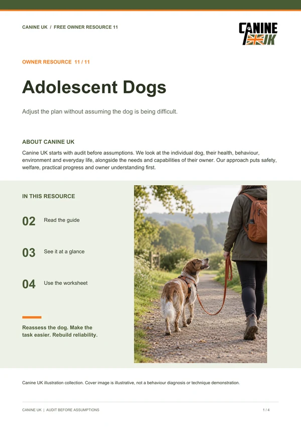 Adolescent Dogs guide cover
