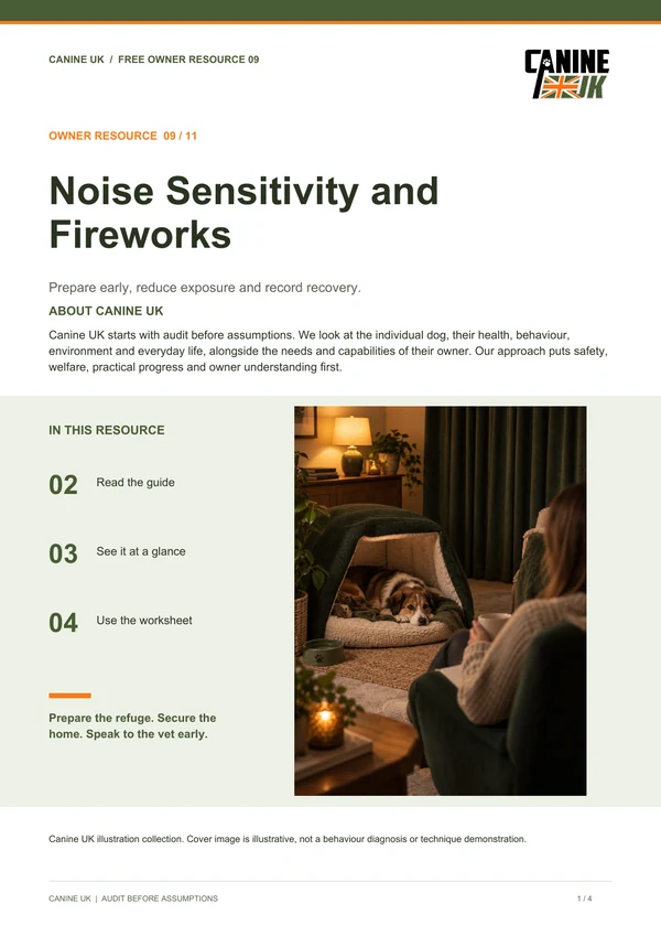 Noise Sensitivity and Fireworks guide cover