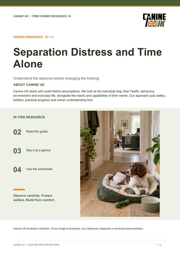Separation Distress and Time Alone guide cover